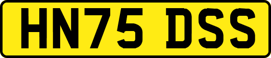 HN75DSS