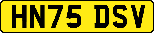 HN75DSV