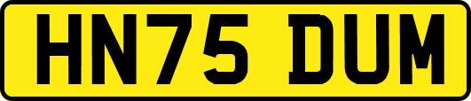 HN75DUM