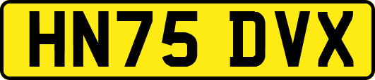 HN75DVX