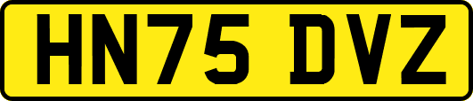 HN75DVZ
