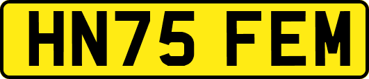HN75FEM