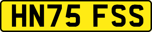 HN75FSS