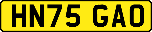 HN75GAO