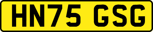 HN75GSG