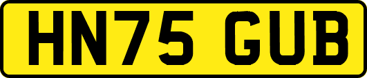 HN75GUB