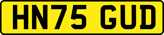 HN75GUD