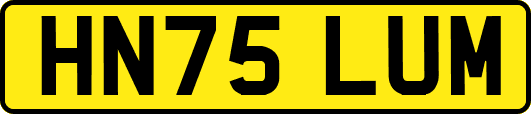 HN75LUM