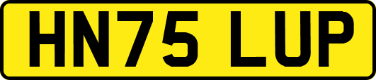 HN75LUP