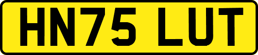 HN75LUT