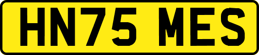 HN75MES
