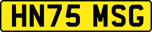 HN75MSG