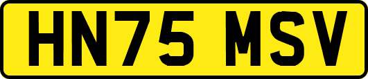 HN75MSV
