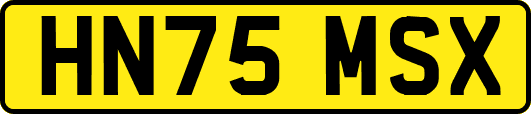 HN75MSX