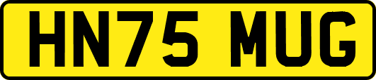 HN75MUG