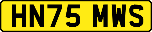 HN75MWS