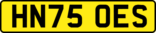 HN75OES
