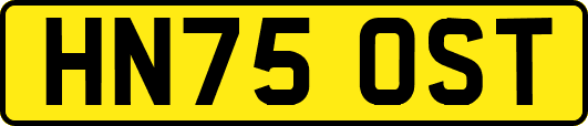 HN75OST