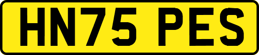 HN75PES
