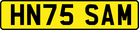HN75SAM