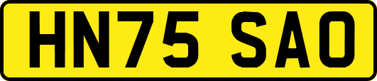 HN75SAO