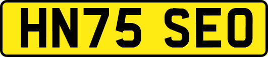 HN75SEO