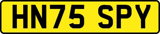 HN75SPY