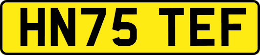 HN75TEF