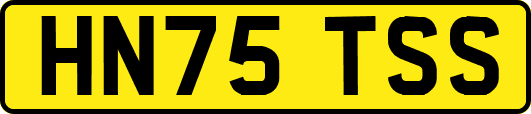 HN75TSS