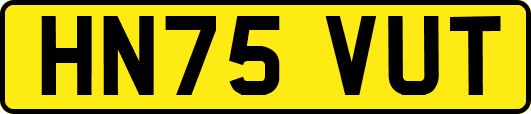 HN75VUT