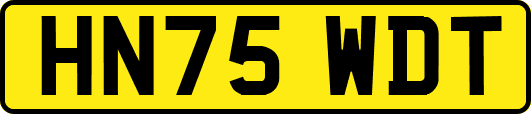 HN75WDT