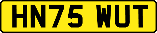 HN75WUT