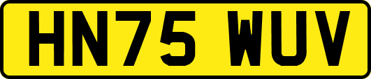 HN75WUV