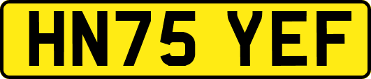 HN75YEF