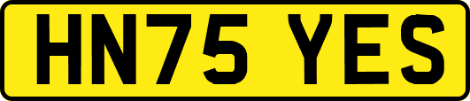 HN75YES