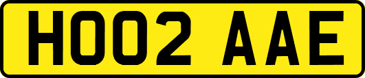 HO02AAE