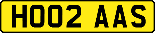 HO02AAS