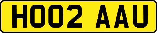 HO02AAU