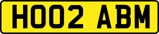 HO02ABM