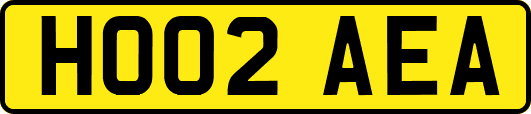 HO02AEA
