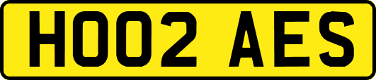 HO02AES