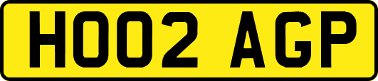HO02AGP