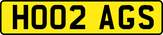 HO02AGS