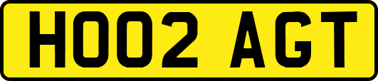 HO02AGT