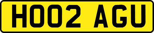 HO02AGU