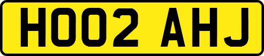 HO02AHJ