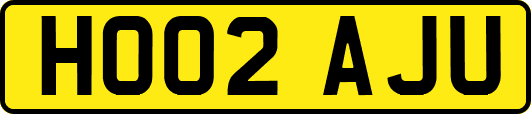HO02AJU