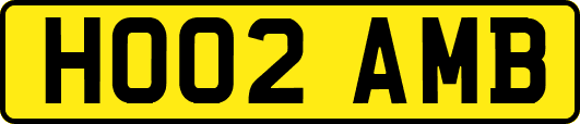 HO02AMB