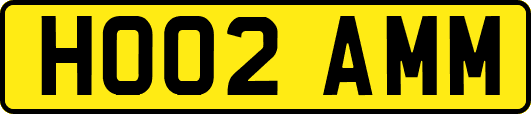 HO02AMM