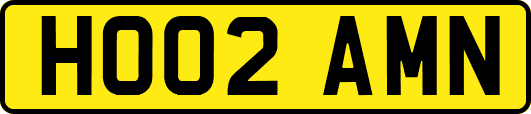 HO02AMN